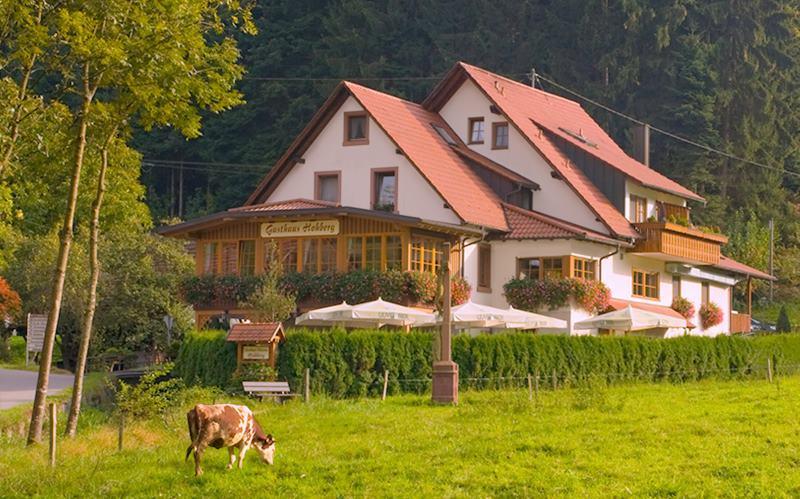 Gasthaus - Pension Hohberg Durbach Exterior foto