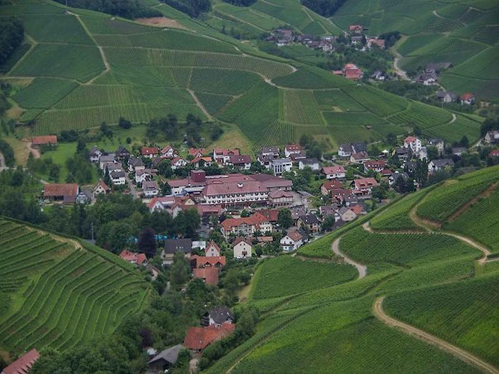Gasthaus - Pension Hohberg Durbach Exterior foto